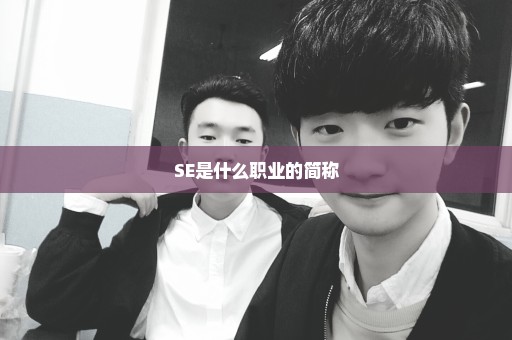 SE是什么职业的简称