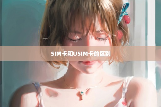 SIM卡和USIM卡的区别