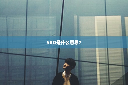 SKD是什么意思？