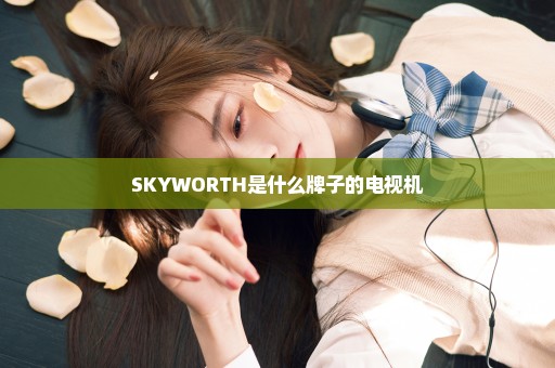SKYWORTH是什么牌子的电视机
