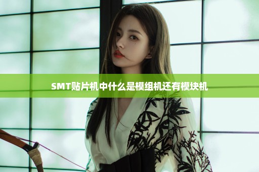 SMT贴片机中什么是模组机还有模块机