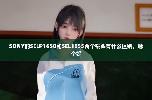 SONY的SELP1650和SEL1855两个镜头有什么区别，哪个好