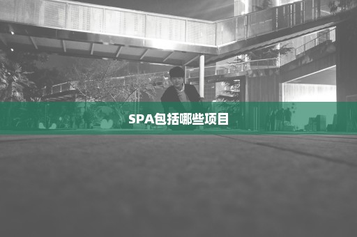 SPA包括哪些项目