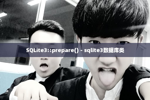 SQLite3::prepare() - sqlite3数据库类
