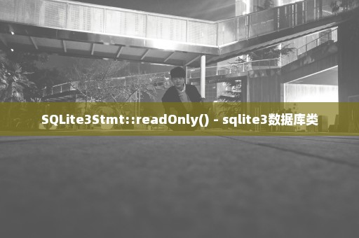SQLite3Stmt::readOnly() - sqlite3数据库类