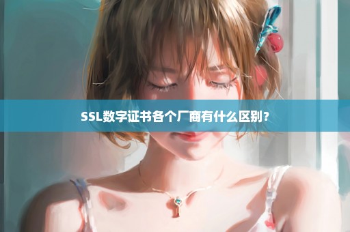 SSL数字证书各个厂商有什么区别？