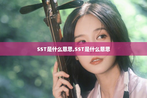 SST是什么意思,SST是什么意思