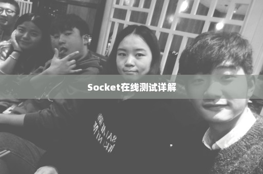 Socket在线测试详解