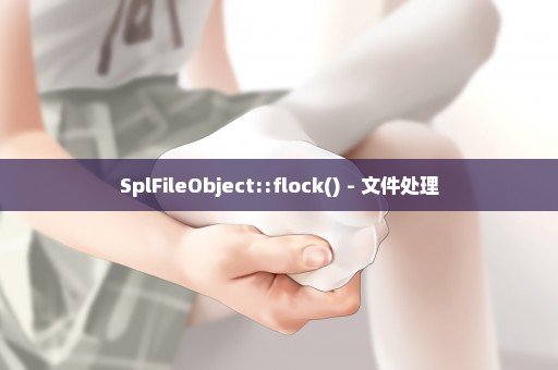 SplFileObject::flock() - 文件处理