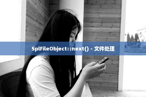 SplFileObject::next() - 文件处理