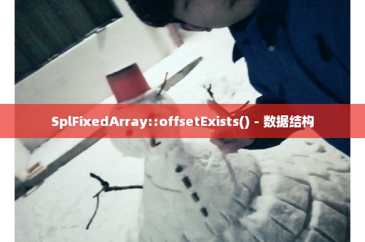 SplFixedArray::offsetExists() - 数据结构