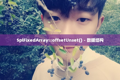 SplFixedArray::offsetUnset() - 数据结构