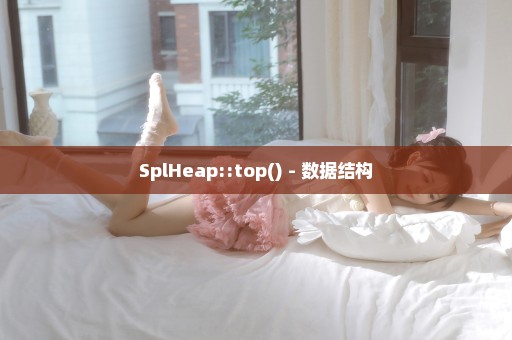 SplHeap::top() - 数据结构