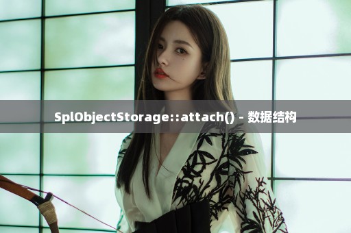 SplObjectStorage::attach() - 数据结构