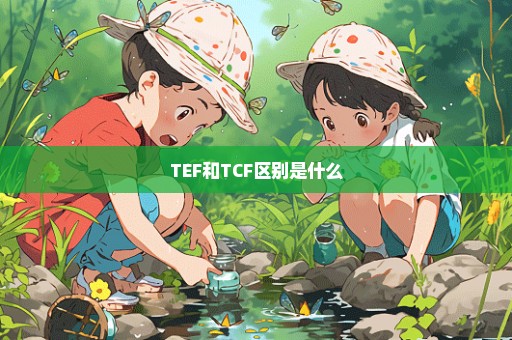 TEF和TCF区别是什么