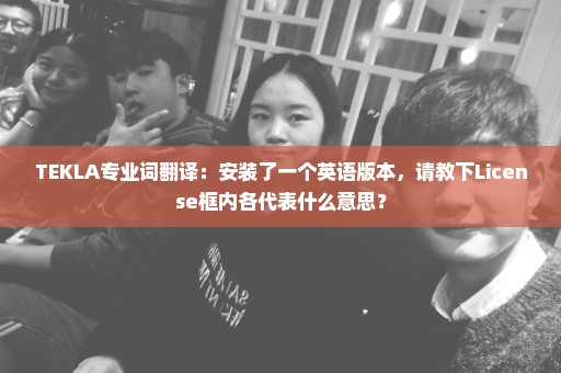 TEKLA专业词翻译：安装了一个英语版本，请教下License框内各代表什么意思？