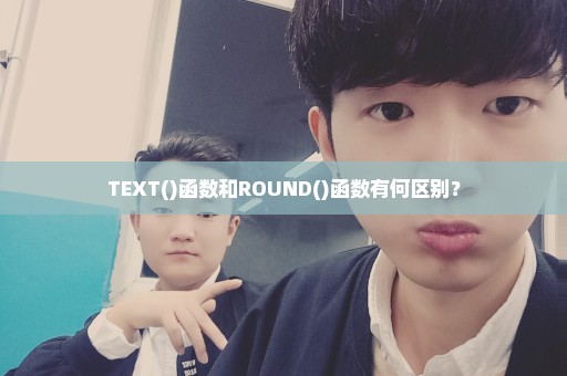 TEXT()函数和ROUND()函数有何区别？