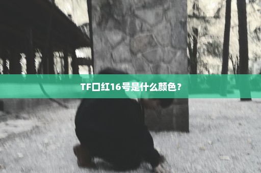 TF口红16号是什么颜色？