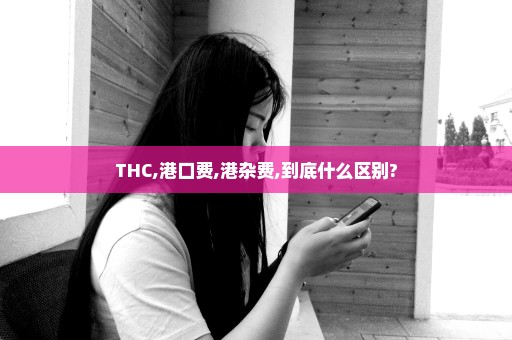 THC,港口费,港杂费,到底什么区别?