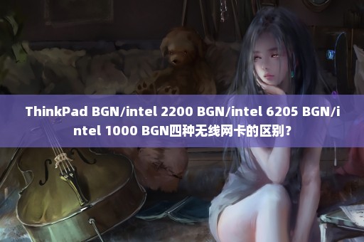 ThinkPad BGN/intel 2200 BGN/intel 6205 BGN/intel 1000 BGN四种无线网卡的区别？
