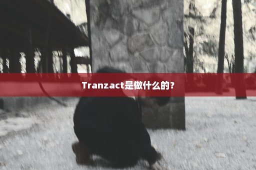 Tranzact是做什么的？