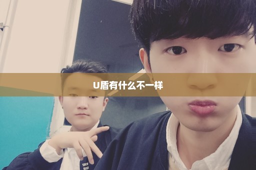 U盾有什么不一样