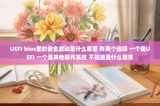 UEFI bios里的安全启动是什么意思 有两个选项 一个是UEFI 一个是其他操作系统 不知道是什么意思