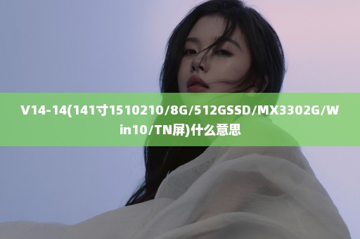 V14-14(141寸1510210/8G/512GSSD/MX3302G/Win10/TN屏)什么意思
