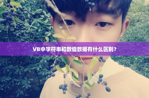VB中字符串和数值数据有什么区别？