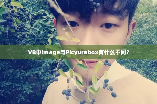 VB中Image与Picyurebox有什么不同？