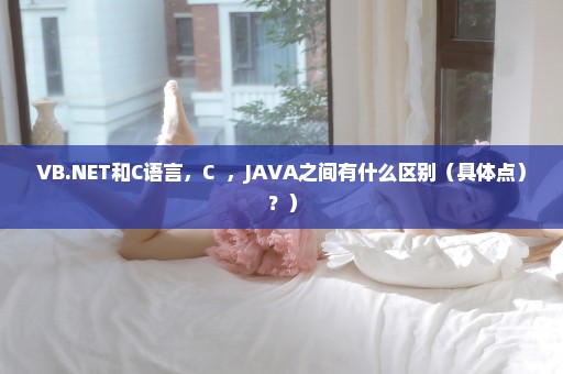 VB.NET和C语言，C++，JAVA之间有什么区别（具体点）？）