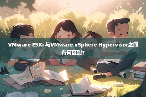 VMware ESXi 与VMware vSphere Hypervisor之间有何区别？