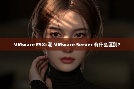 VMware ESXi 和 VMware Server 有什么区别？