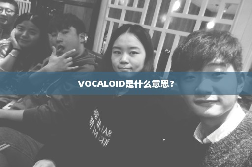VOCALOID是什么意思？