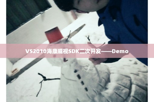 VS2010海康威视SDK二次开发——Demo