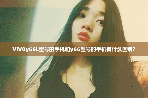 ViV0y66L型号的手机和y66型号的手机有什么区别？