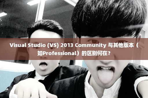 Visual Studio (VS) 2013 Community 与其他版本（如Professional）的区别何在？