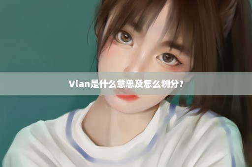 Vlan是什么意思及怎么划分？
