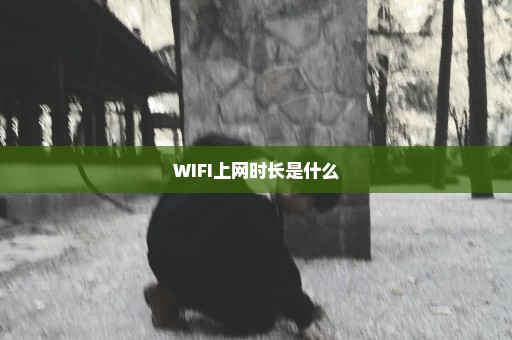 WIFI上网时长是什么