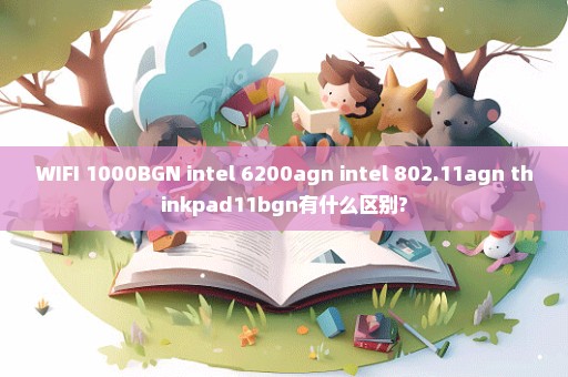 WIFI 1000BGN intel 6200agn intel 802.11agn thinkpad11bgn有什么区别?
