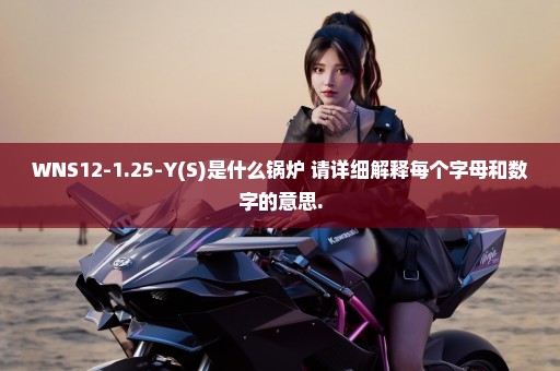 WNS12-1.25-Y(S)是什么锅炉 请详细解释每个字母和数字的意思.