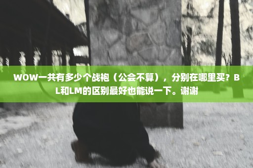 WOW一共有多少个战袍（公会不算），分别在哪里买？BL和LM的区别最好也能说一下。谢谢