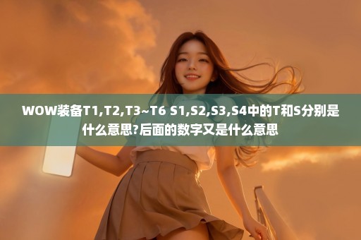 WOW装备T1,T2,T3~T6 S1,S2,S3,S4中的T和S分别是什么意思?后面的数字又是什么意思