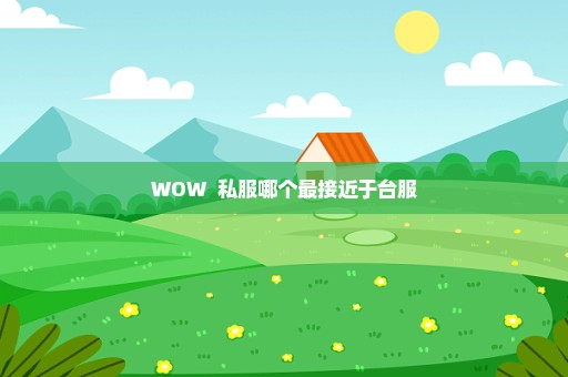 WOW  私服哪个最接近于台服