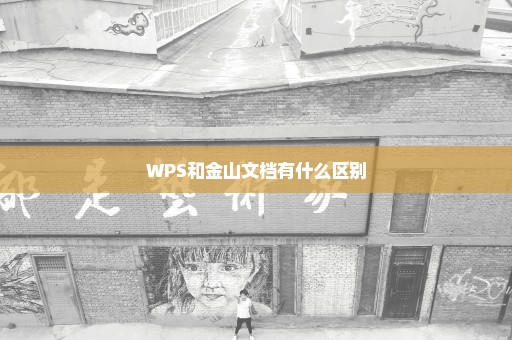 WPS和金山文档有什么区别