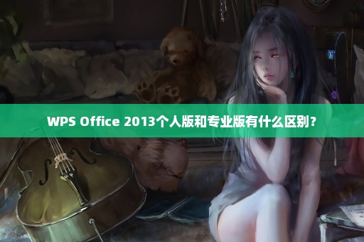 WPS Office 2013个人版和专业版有什么区别？