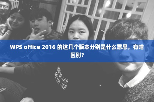 WPS office 2016 的这几个版本分别是什么意思，有啥区别？