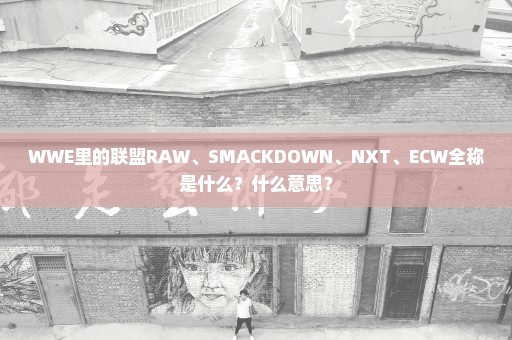 WWE里的联盟RAW、SMACKDOWN、NXT、ECW全称是什么？什么意思？