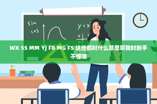 WX SS MM YJ FB MG FS 这些都时什么意思啊我时新手不懂哦