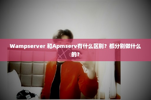 Wampserver 和Apmserv有什么区别？都分别做什么的？